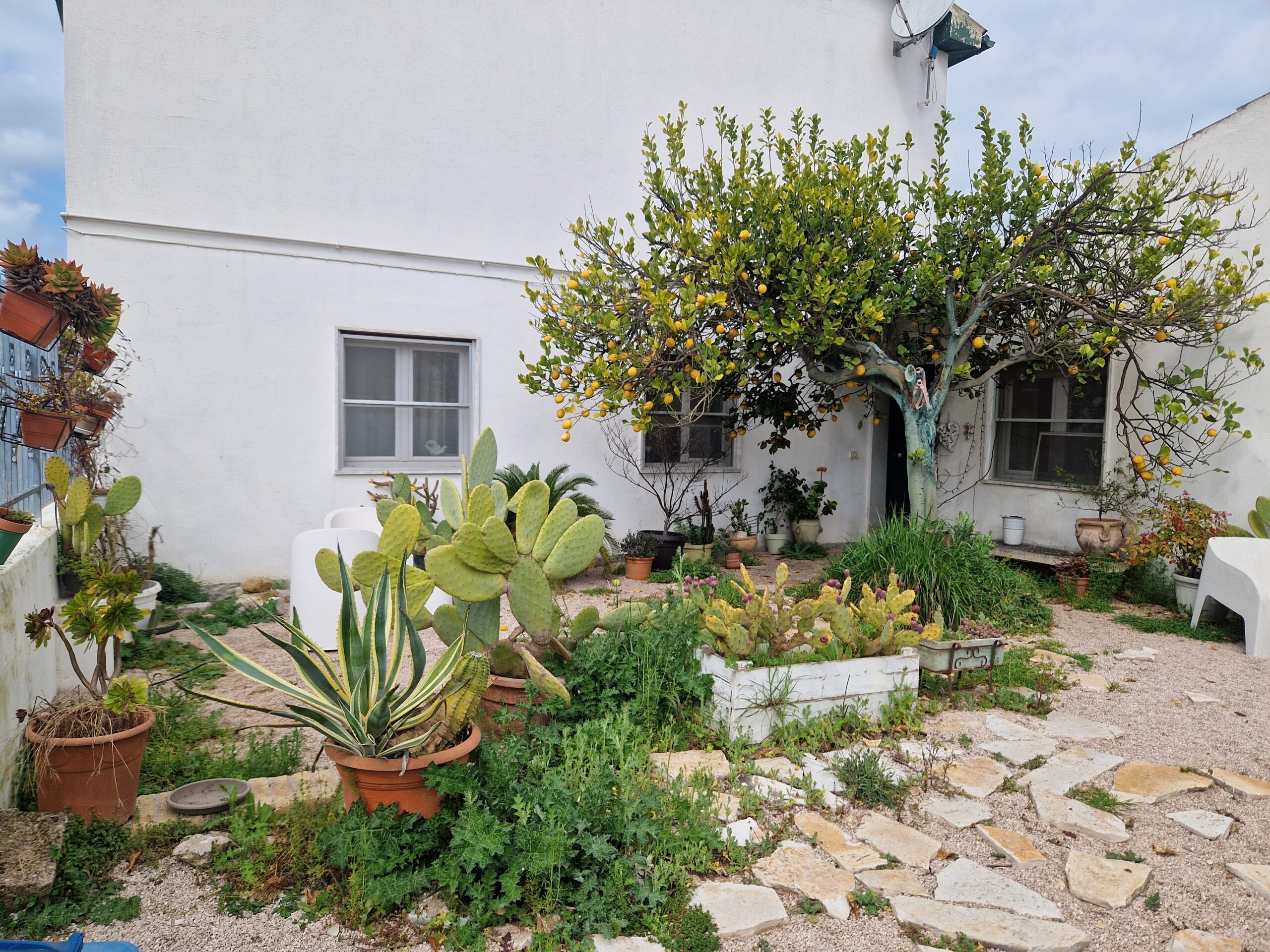 cortile-ingresso01
