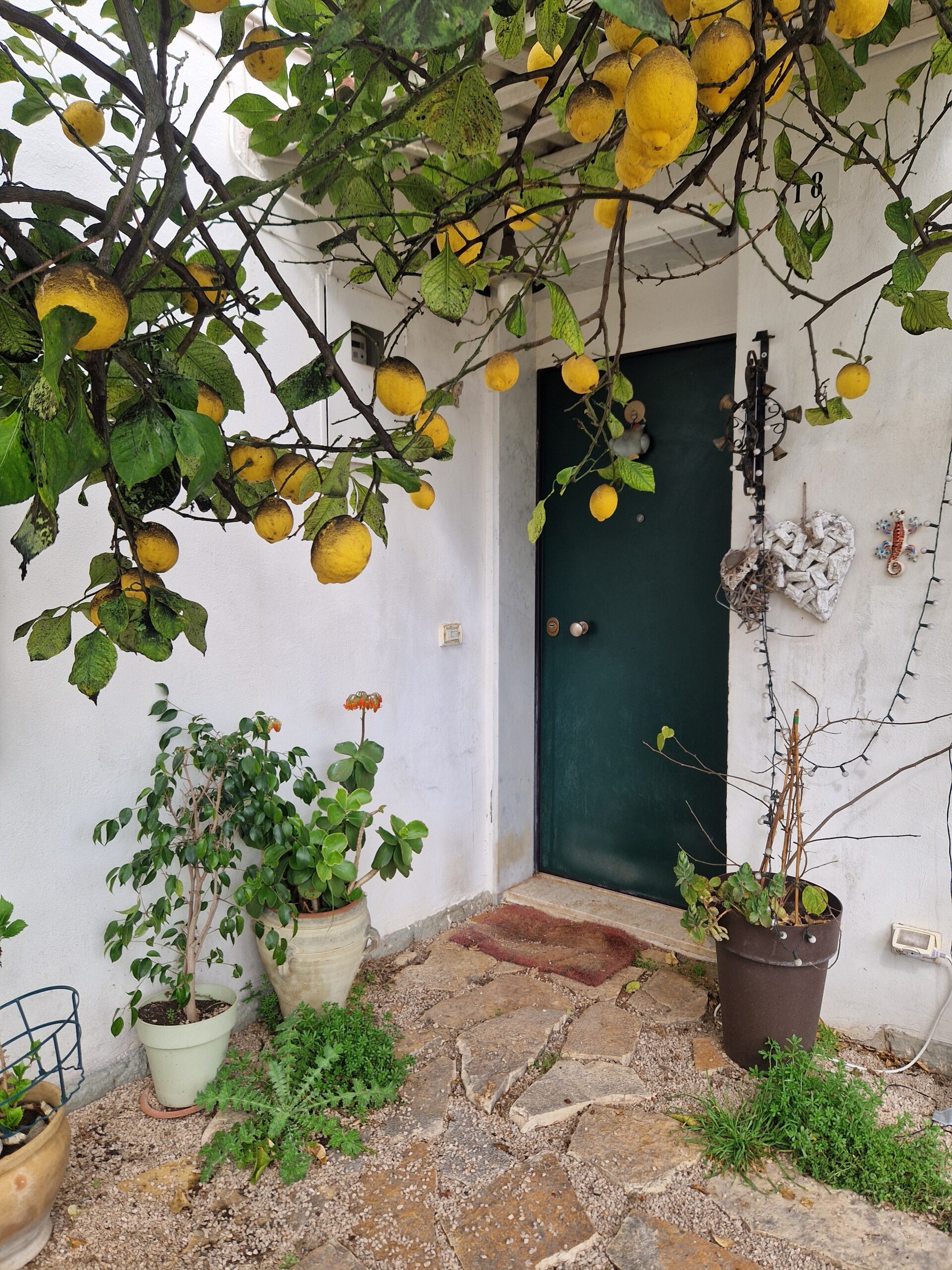 porta-ingresso