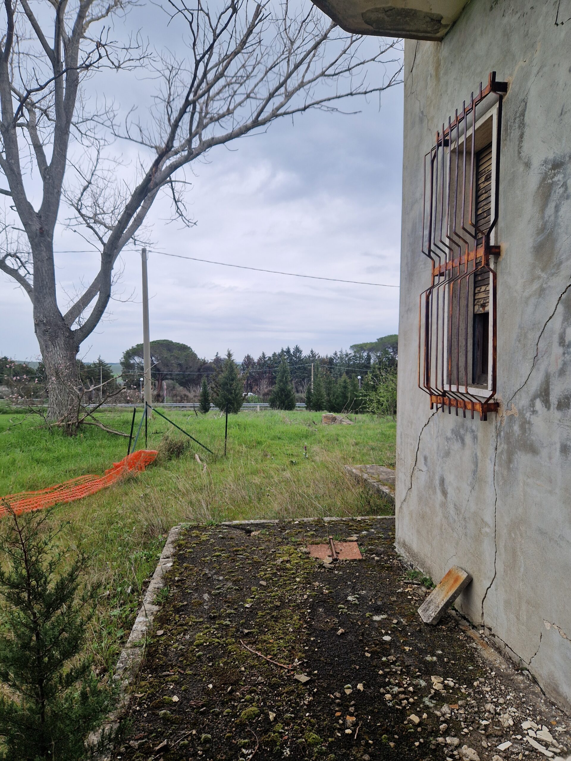 rudere-terreno01