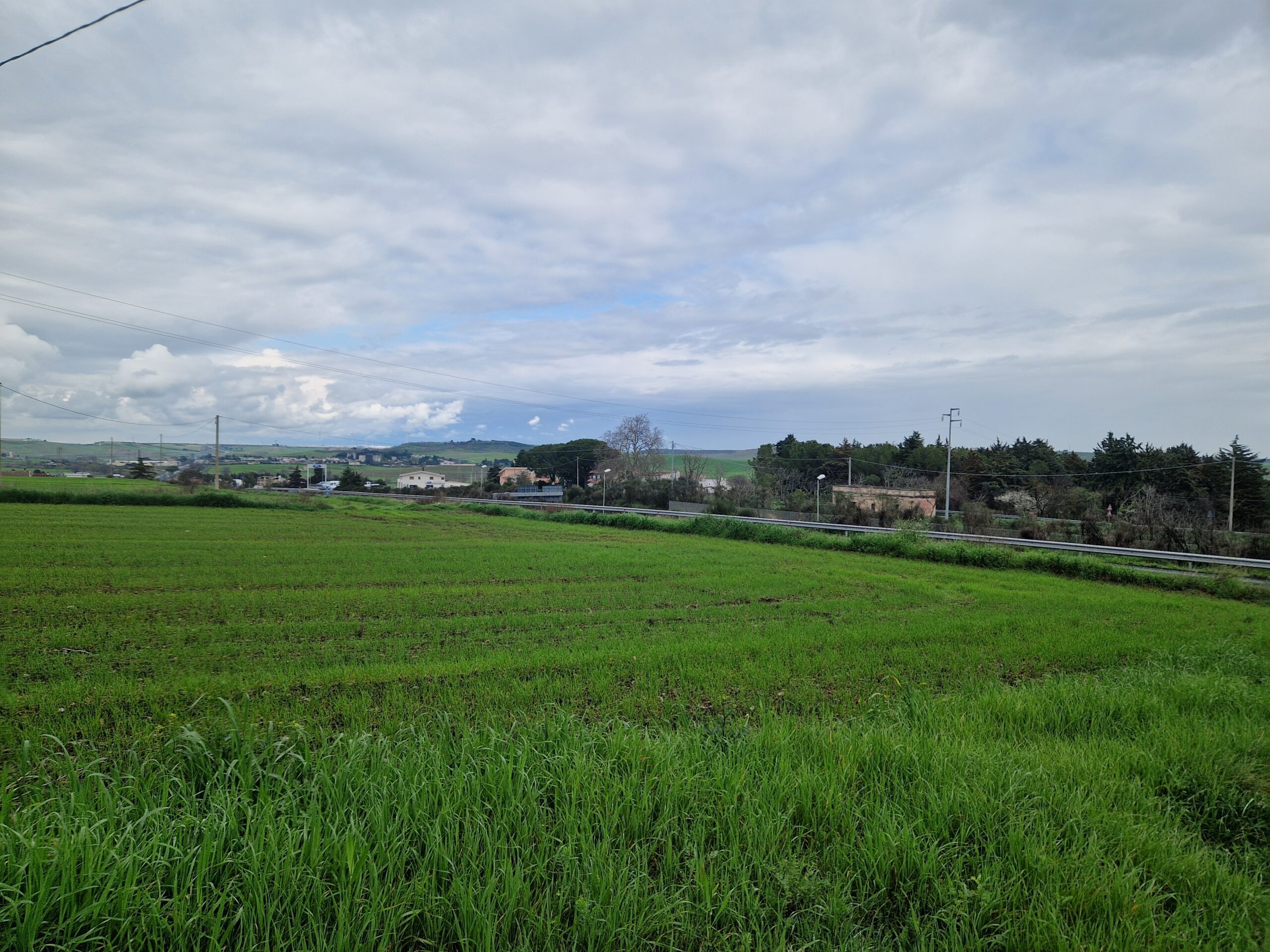 terreno01
