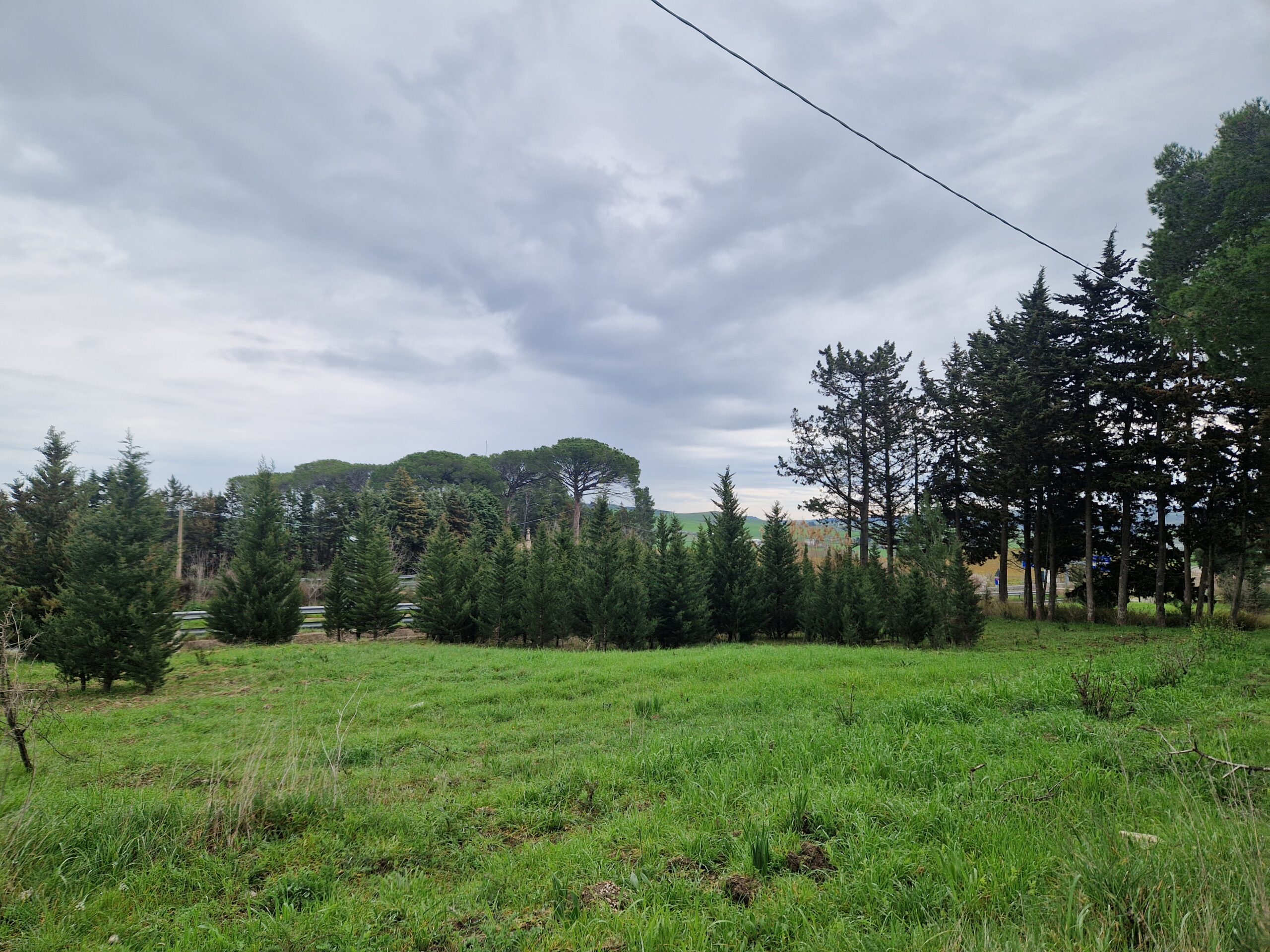 terreno02