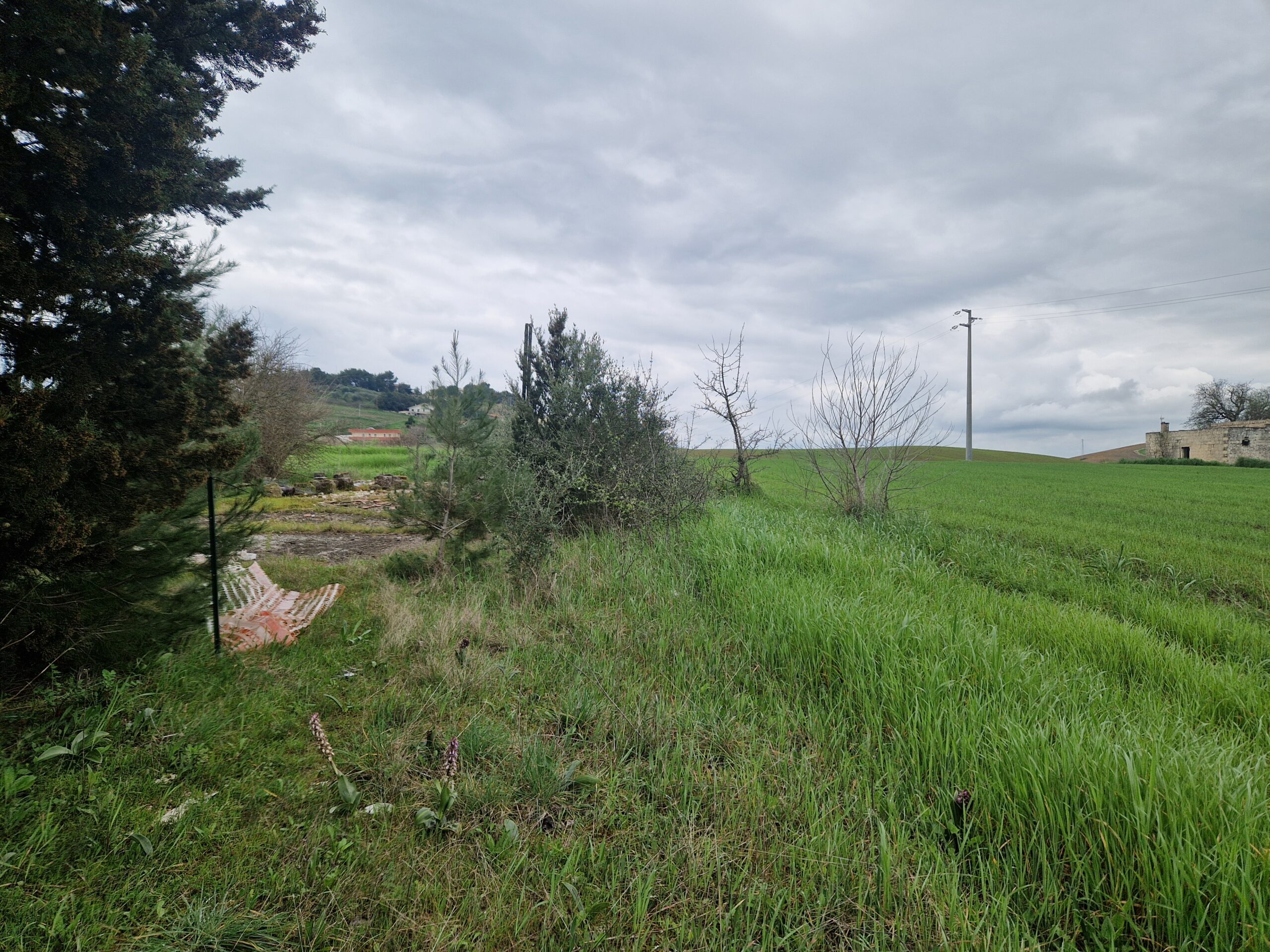 terreno04