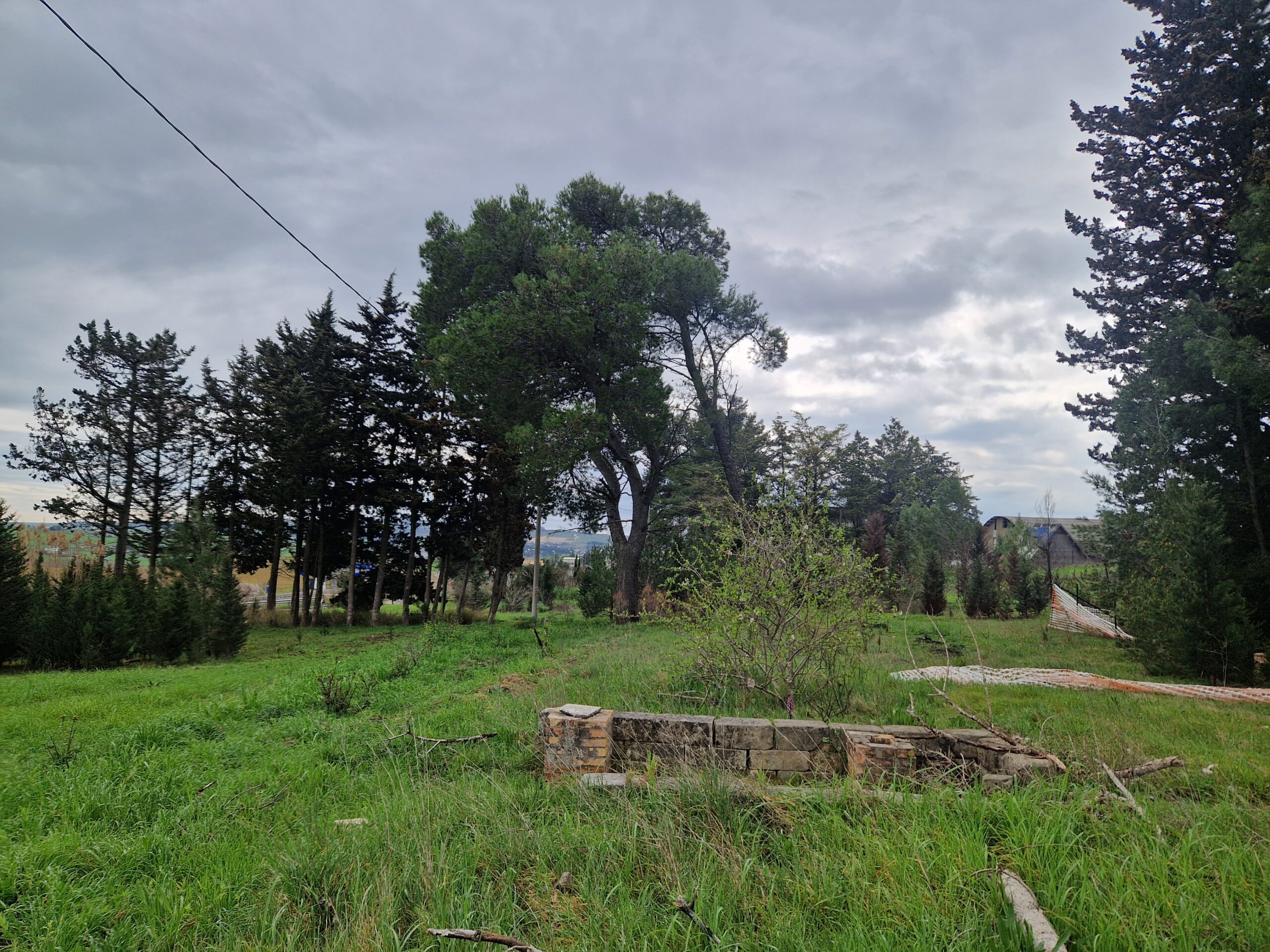 terreno05