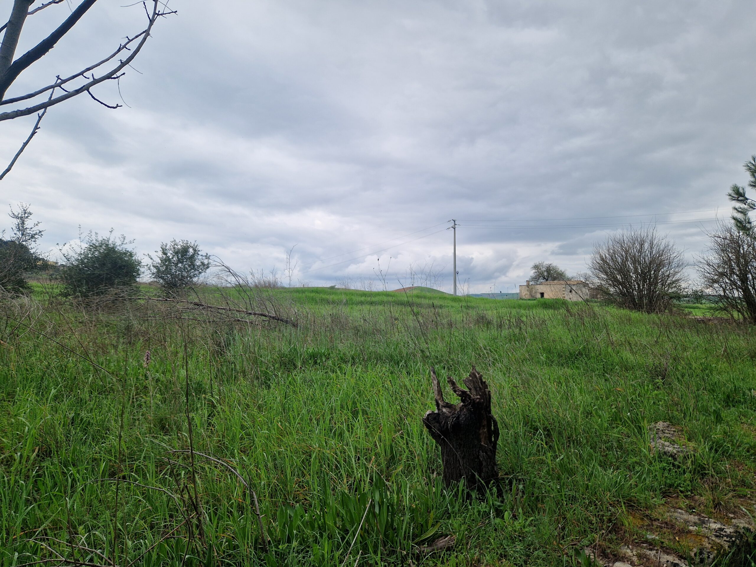 terreno06