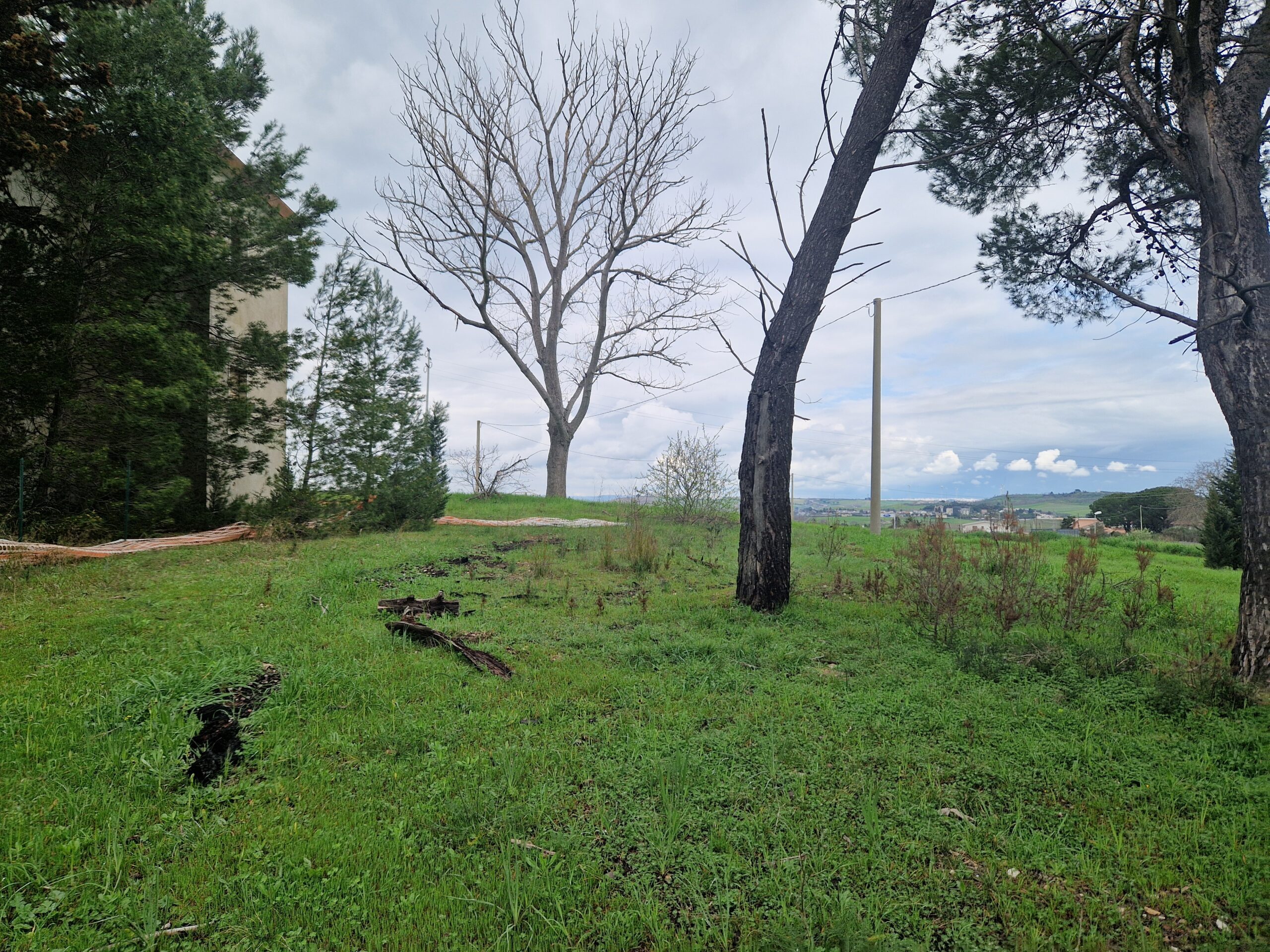 terreno07